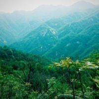 湖南嚴控采砂場使用林地審批 使用結束后一年內(nèi)需復綠